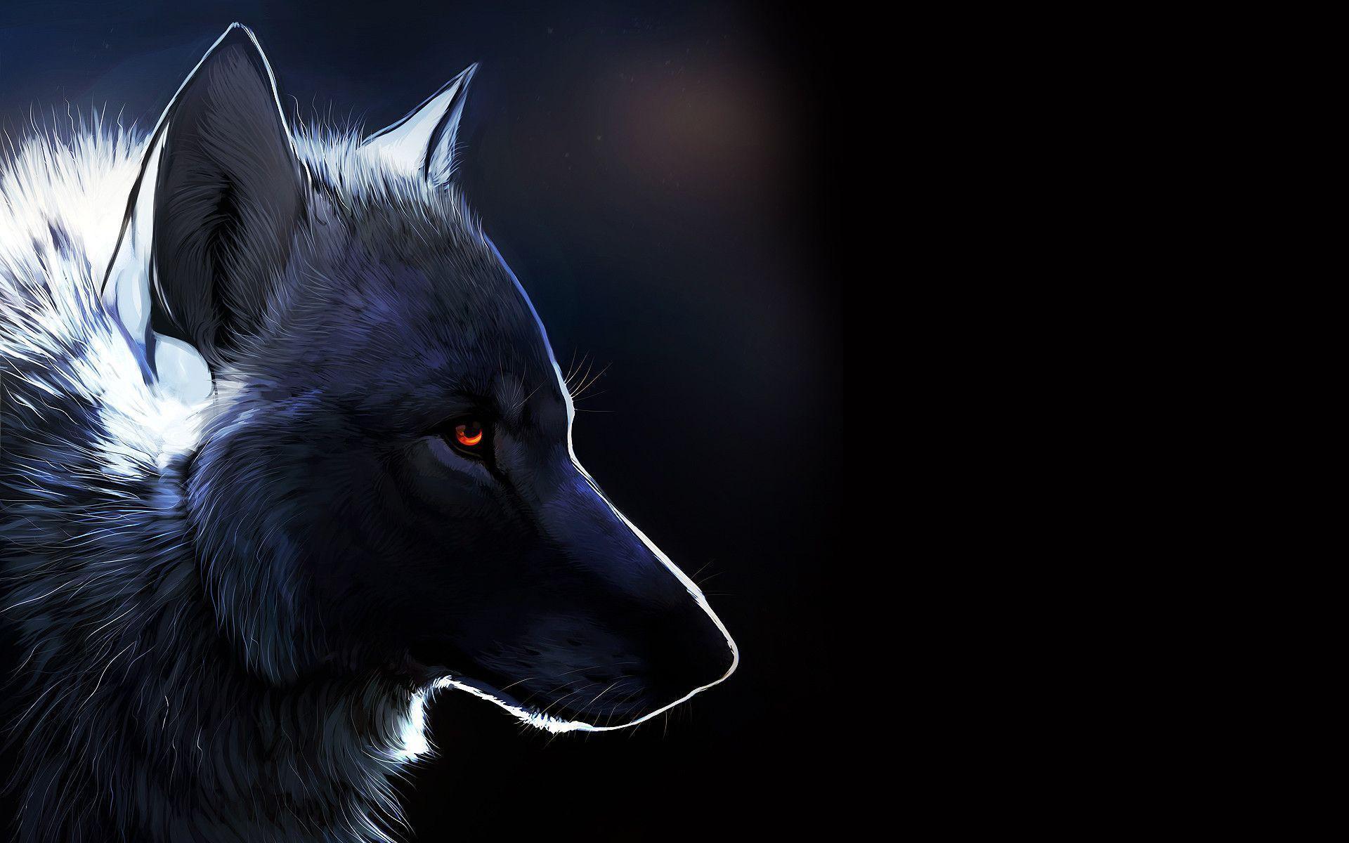 dark wolf, Desktop and mobile wallpaper