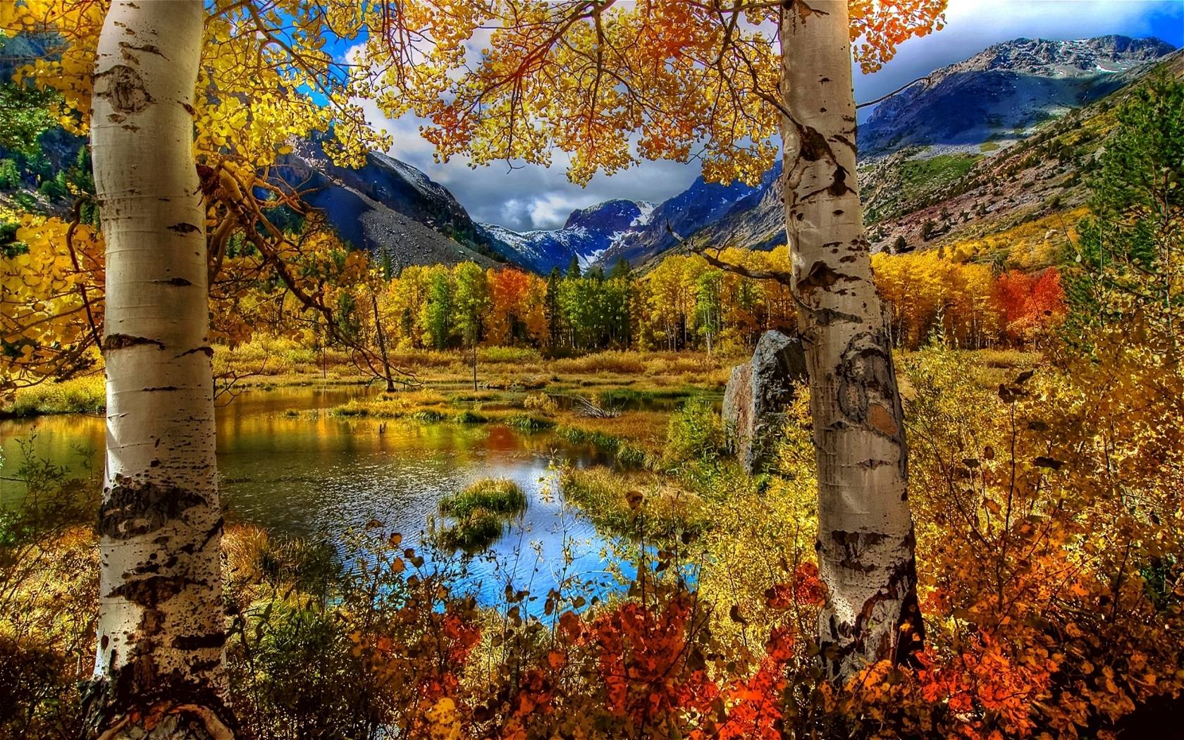 Exciting Autumn Mountain Scenery Wide Wallpaper 1680x1050PX