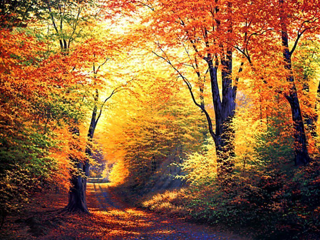 autumn desktop wallpaper free