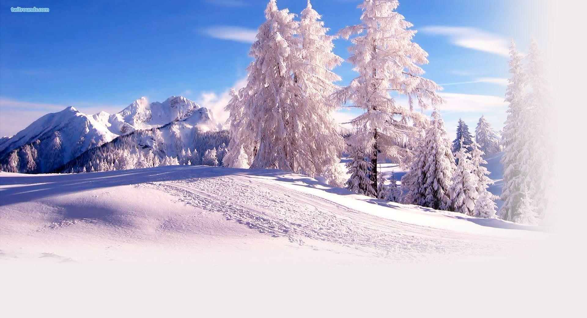 Winter Snow Wallpaper, Nature Winter Snow Twitter Background