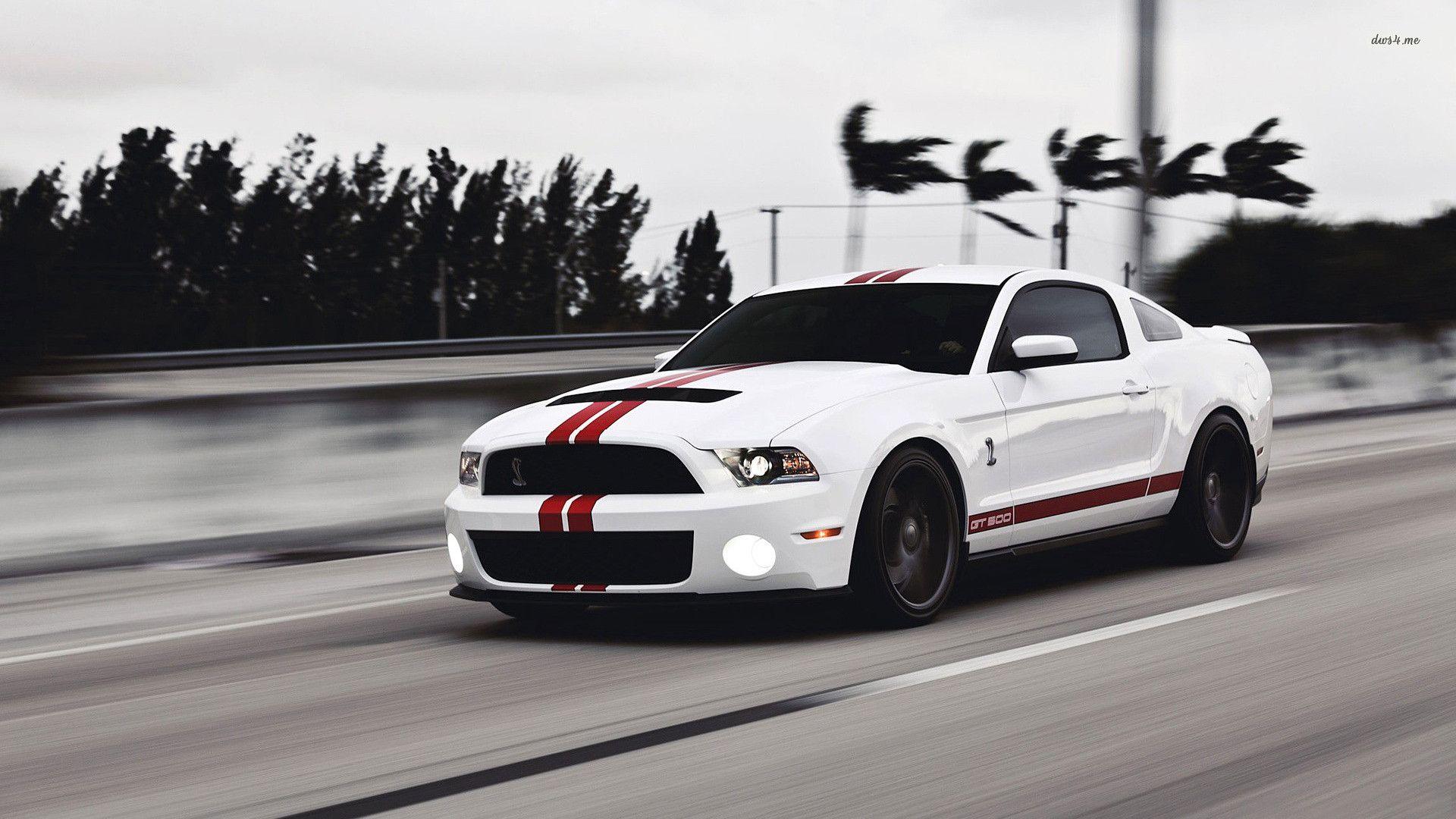 Shelby Mustang Wallpapers - Wallpaper Cave