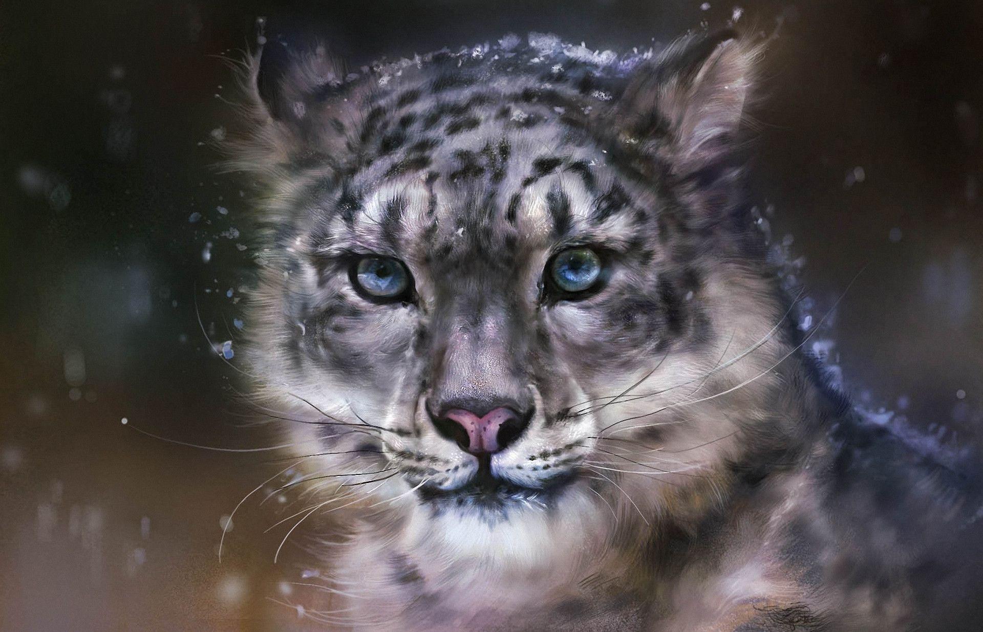 Download wallpaper Art, leopard, snow, wildcat free desktop
