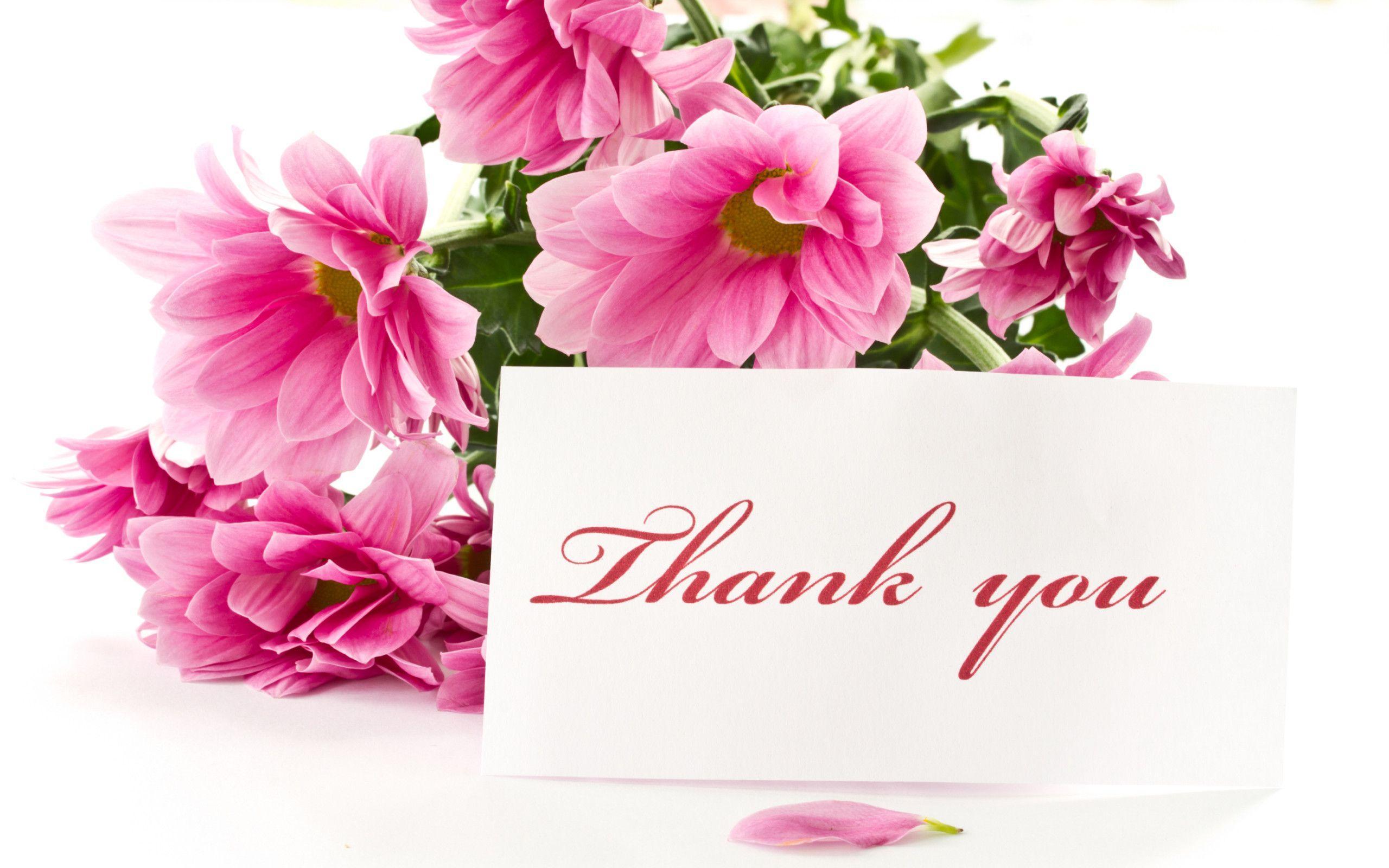 Thank You Wallpapers - Wallpaper Cave