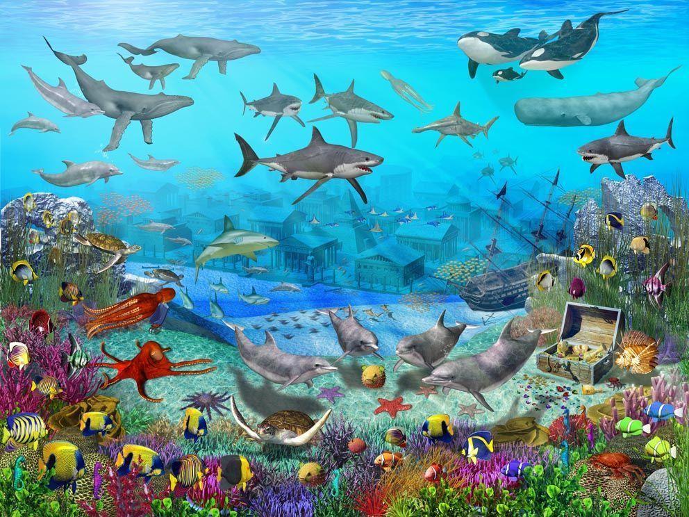 Sea Life Wallpaper Download 31389 HD Picture. Top Background Free