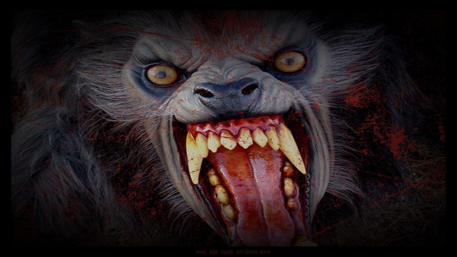 werewolf Dark Wallpaper Background