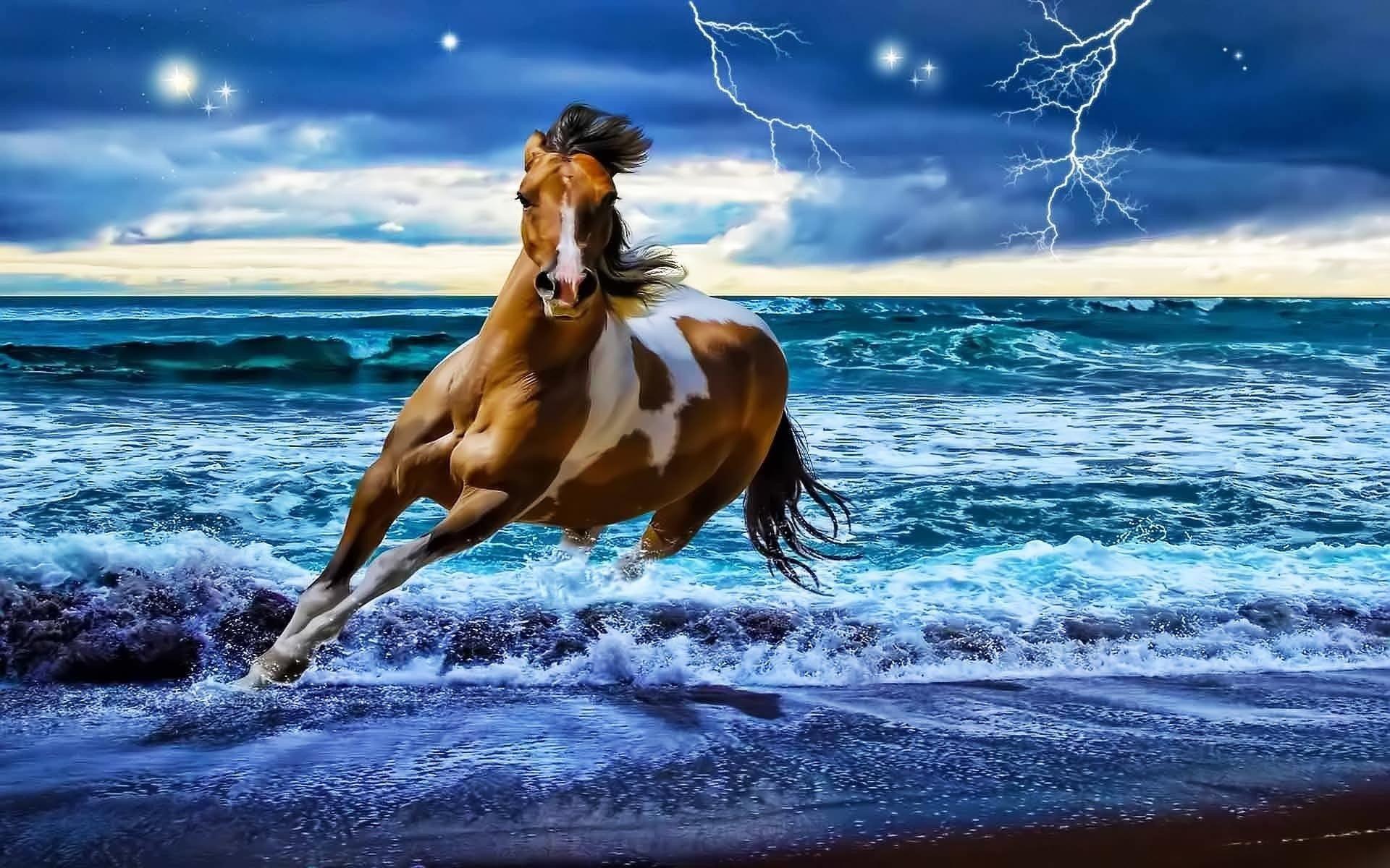 Horse Wallpaper Pictures  Download Free Images on Unsplash
