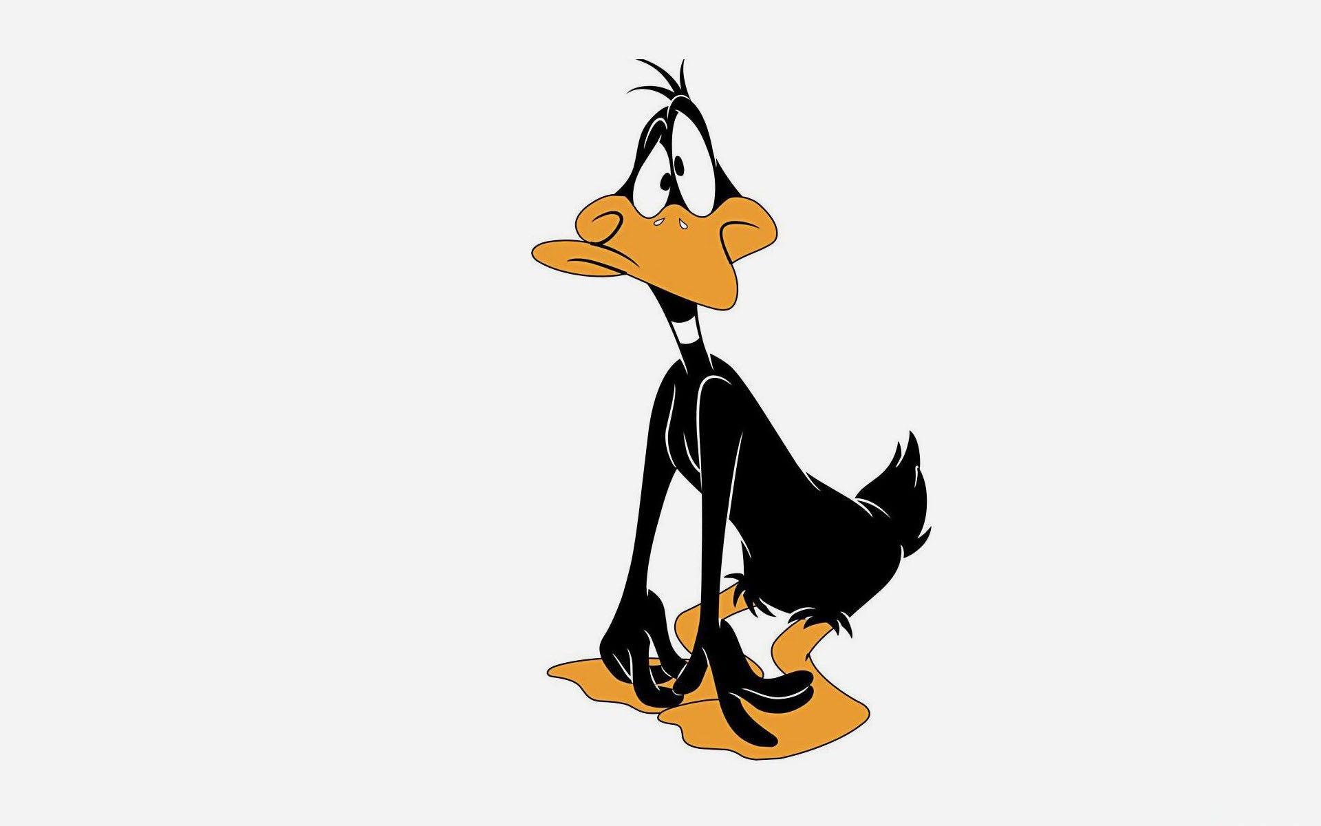 Pix For > Daffy Duck Wallpaper
