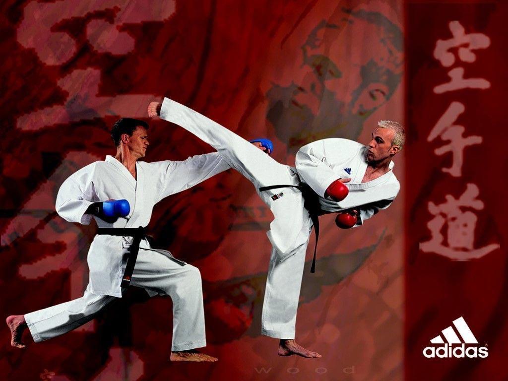Karate HD Image 3 HD Wallpaper. lzamgs
