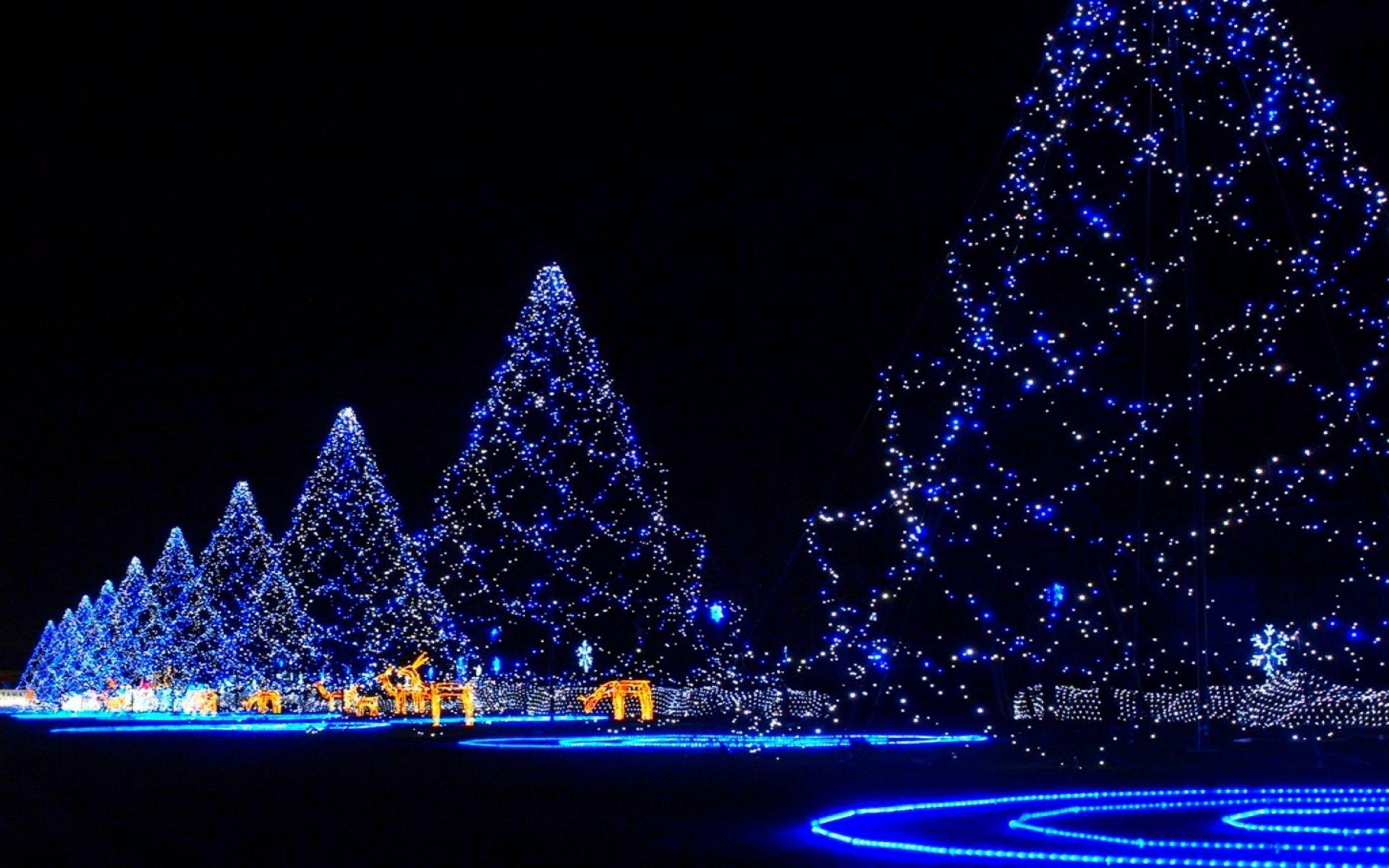 260+ Christmas Lights HD Wallpapers and Backgrounds