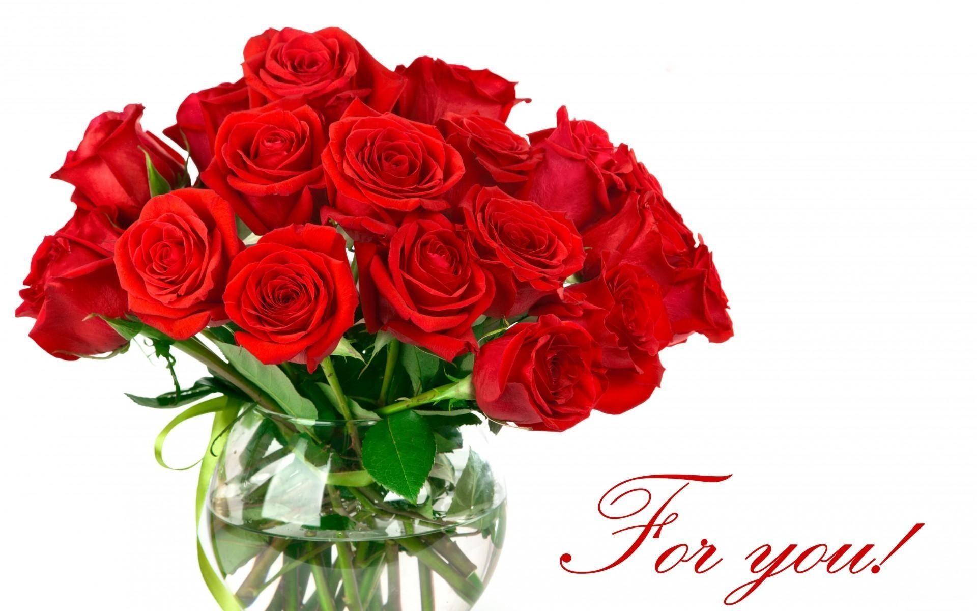 Red Rose Flower Backgrounds - Wallpaper Cave