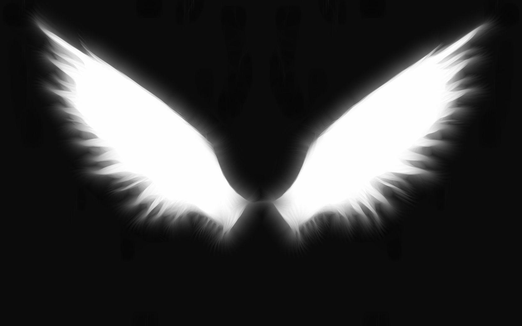 image For > White Wings Wallpaper