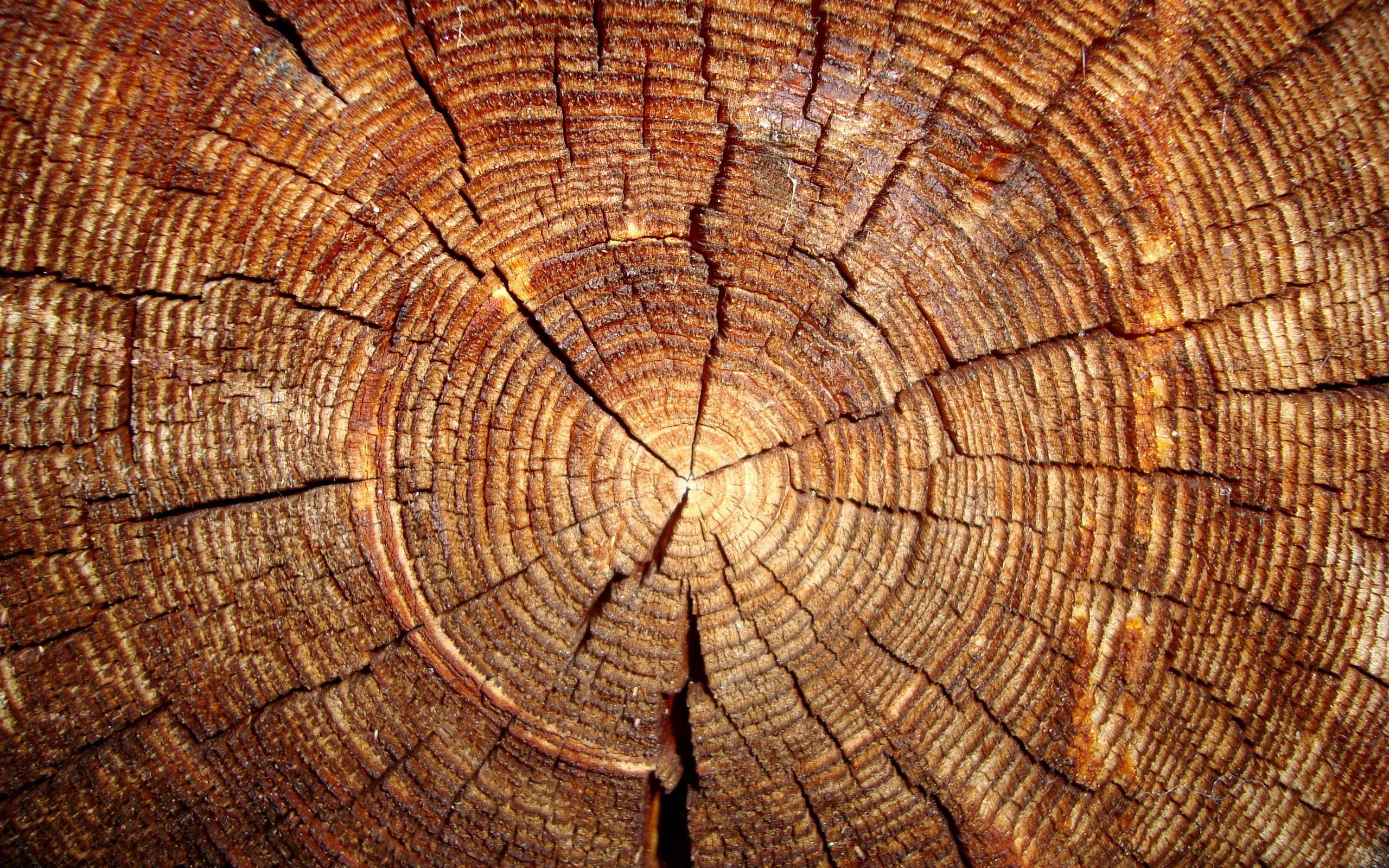 Wood HD Wallpapers 12 Download
