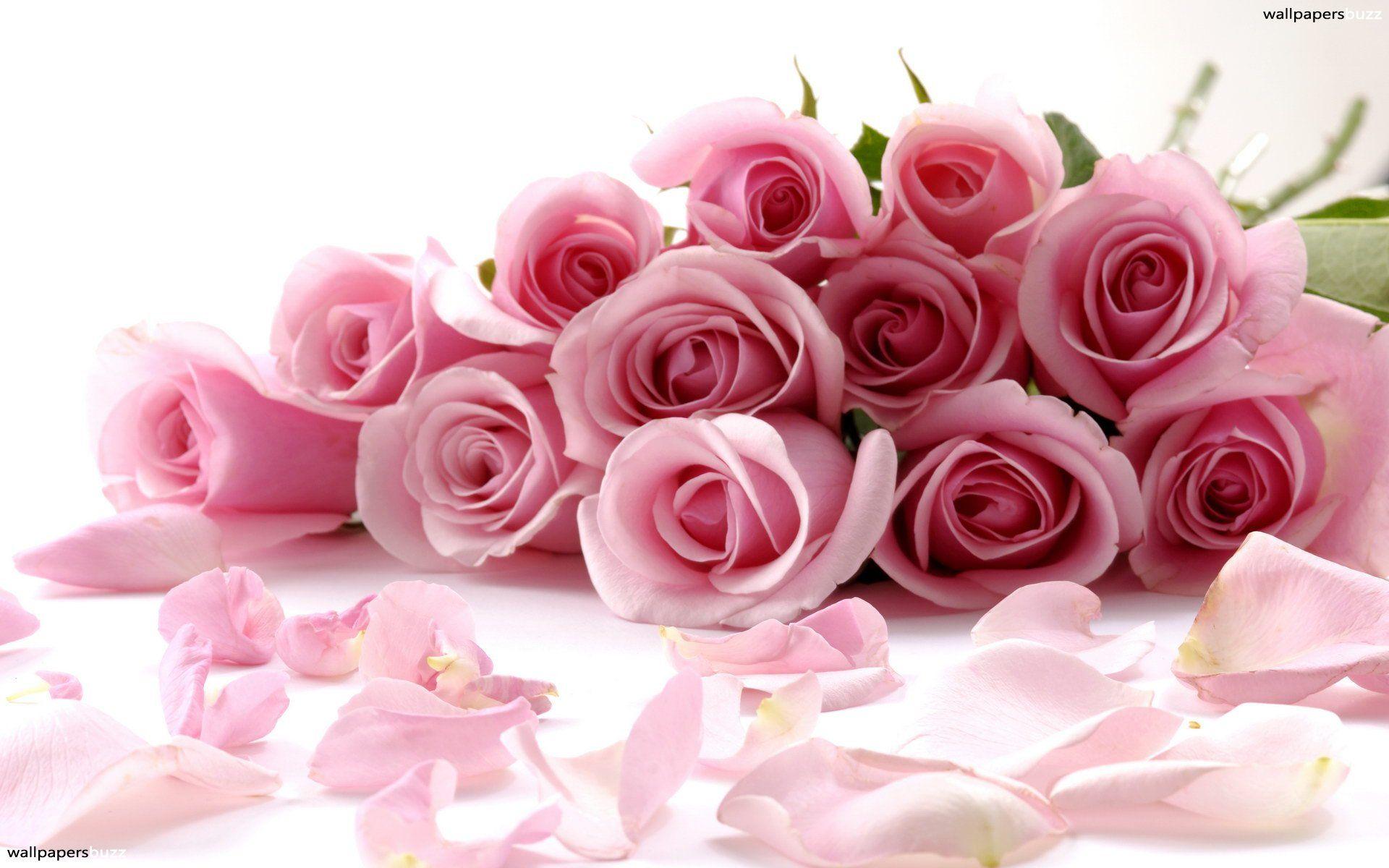 Roses Background Images Wallpaper Cave