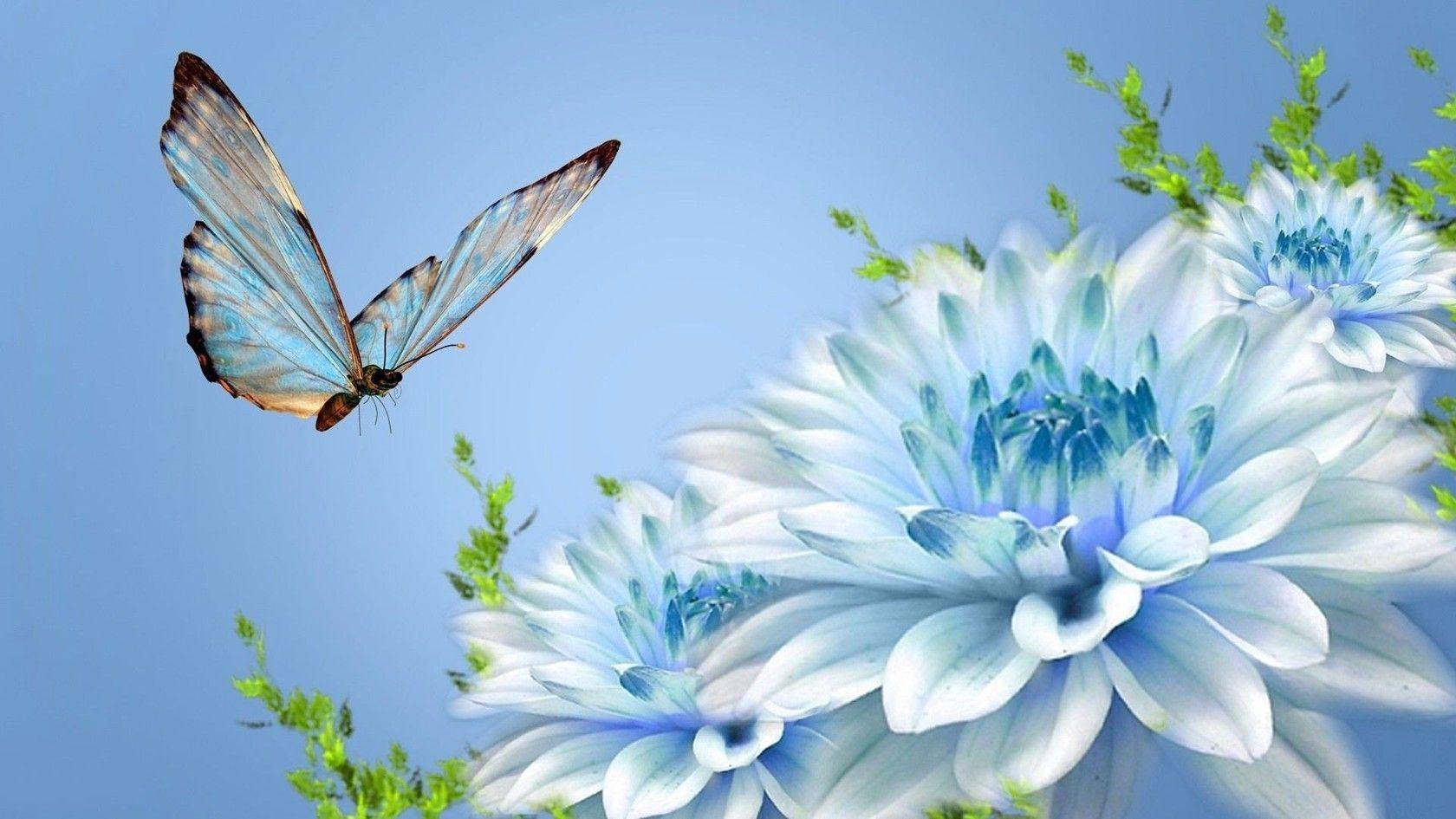 Wallpaper For > Blue Butterfly Wallpaper
