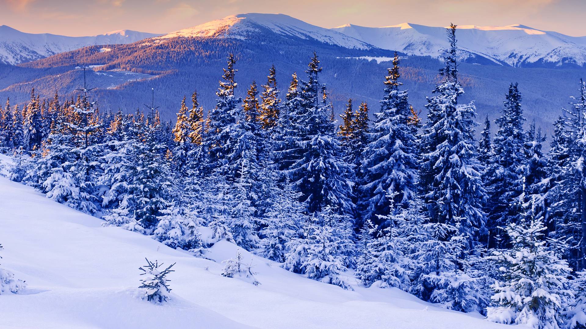 Nature landscapes trees forests mountains scenic winter snow