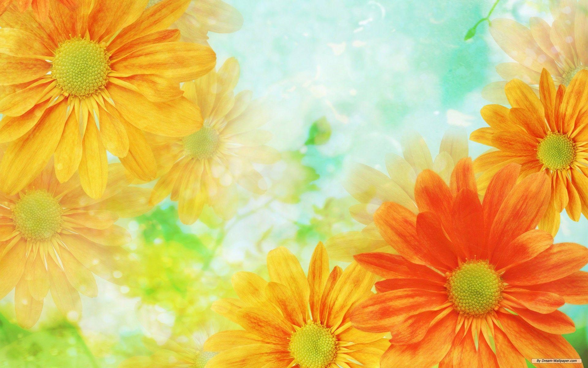 Flower Background 1920×1200