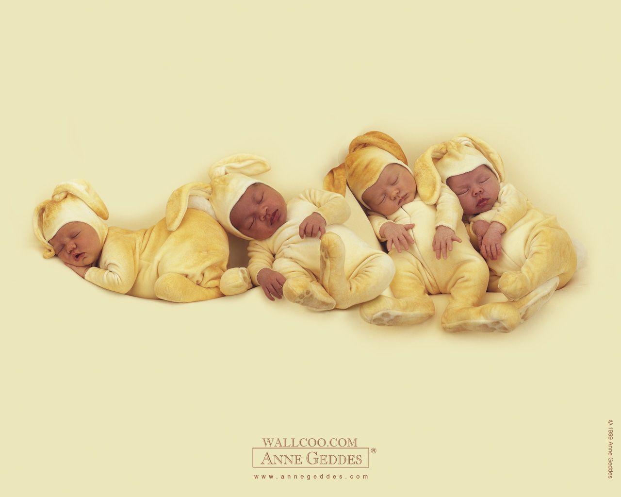 Anne Geddes Baby Photography, Newborn Baby Photography, Baby