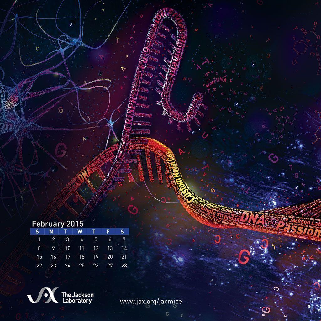 Desktop Wallpaper Calendars for February 2015 Jackson Laboratory