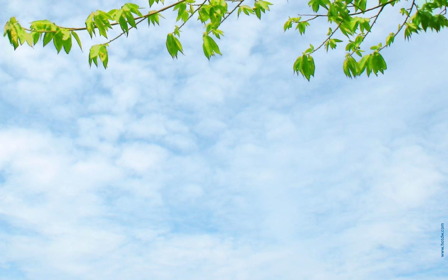 Powerpoint Background Nature WallPaper HD