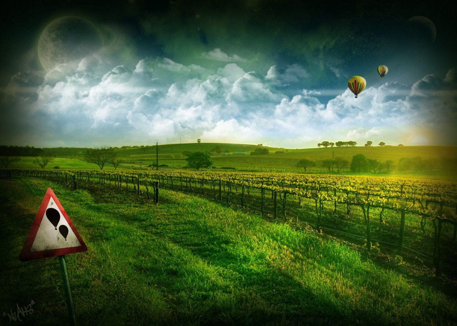 Download Vineyard Cool Wallpaper 1600x1142