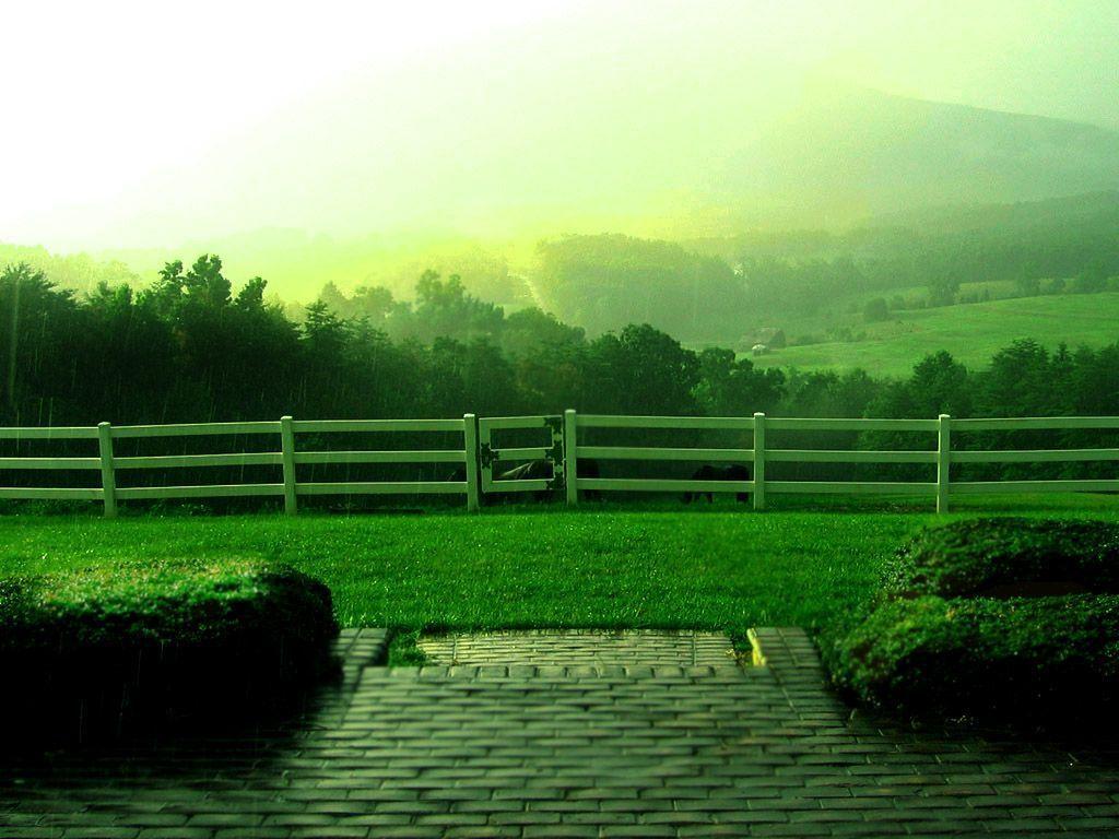Rain Wallpaper Cool 10892 HD Picture. Best Wallpaper Photo