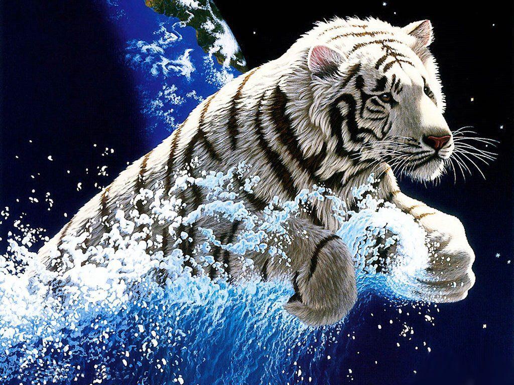 cool wallpaper tiger white. Desktop Background for Free HD
