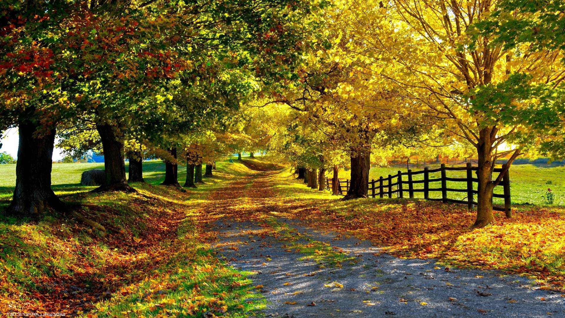 HD Nature PC Wallpapers Wallpaper Cave HD Nature PC Wallpapers Wallpaper Cave