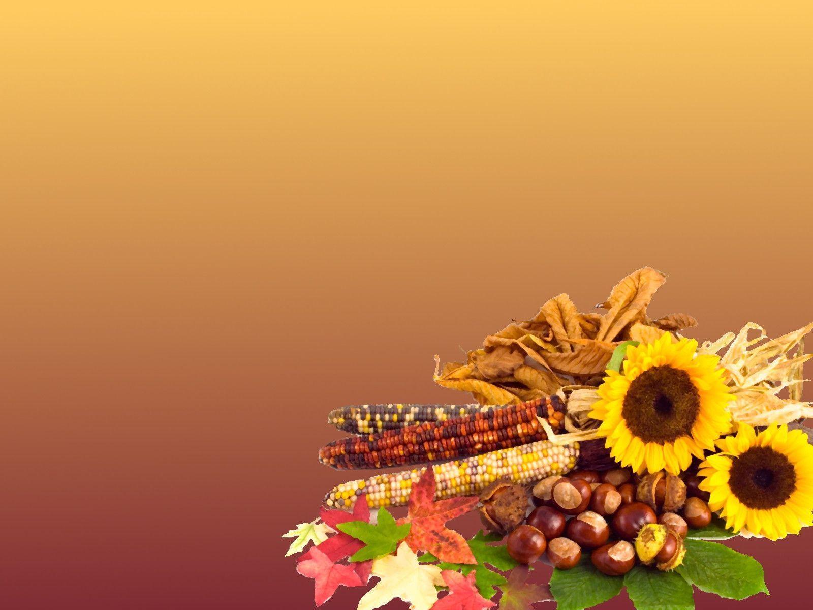 Thanksgiving Day Background. Free Internet Picture