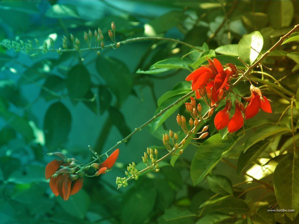 Photo, Clip Art and Powerpoint Background Blog Archive