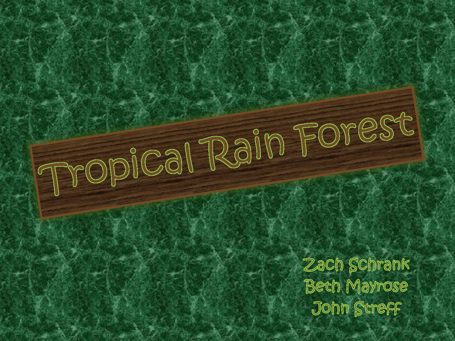 image For > Rainforest Background For Powerpoint