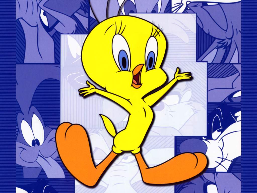 tweety wallpaper