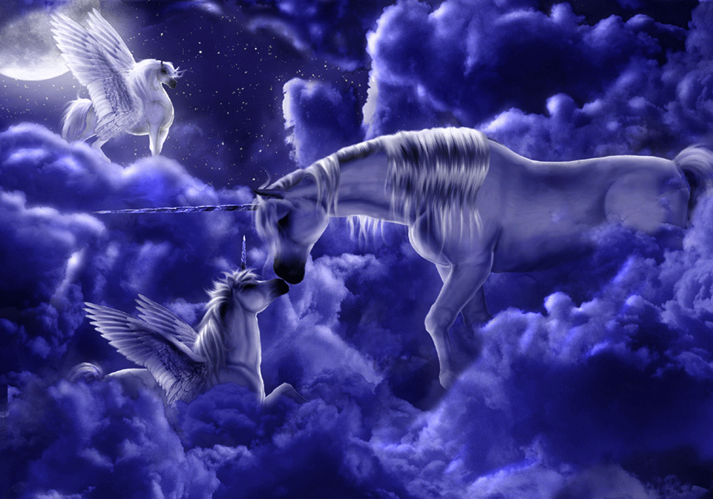 The struggle between good and evil mystic horses horse fantasy HD  wallpaper  Pxfuel