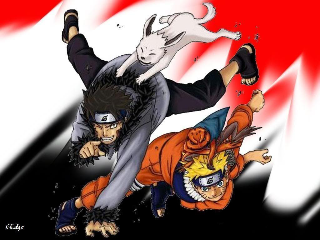Image World HD: Naruto: Kiba