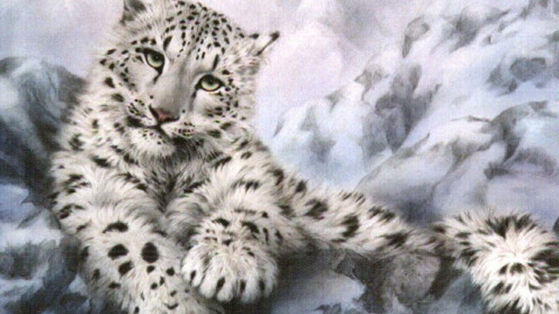 Snow Leopard Wallpaper HD Background Wallpaper 27 HD Wallpaper