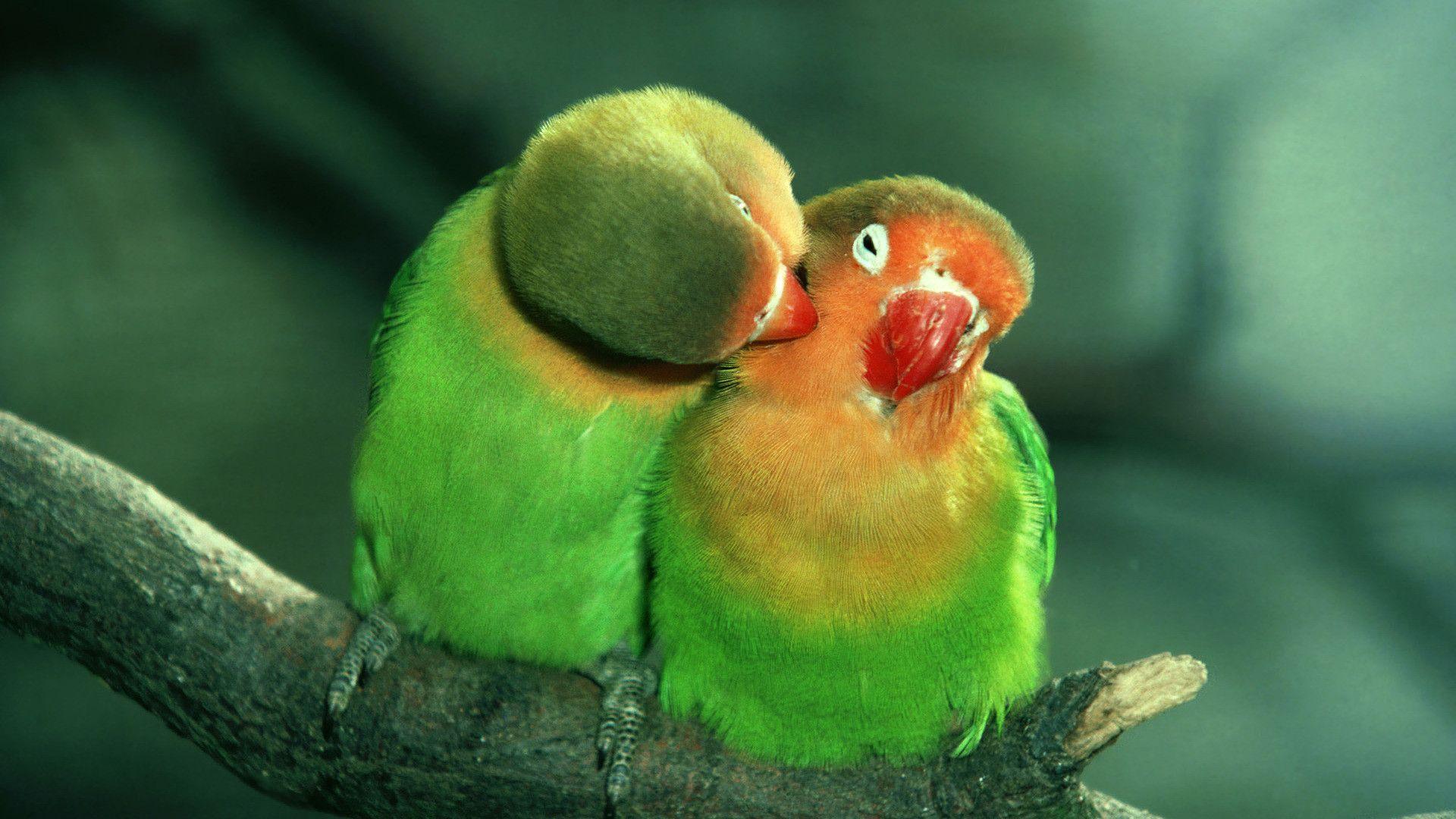 Cute Love Backroundgraphy Desktop Background. Desktop Background HQ