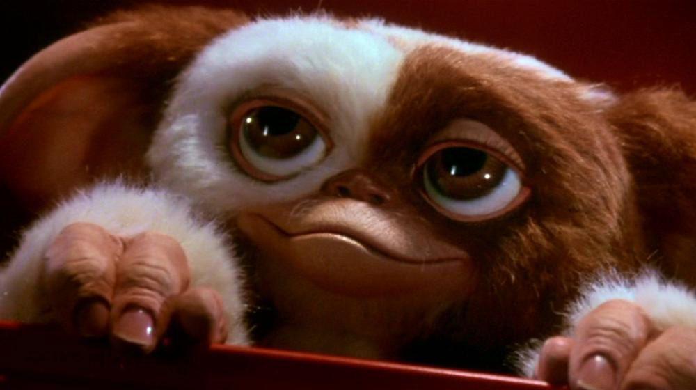 Gizmo Gremlins Wallpapers - Wallpaper Cave