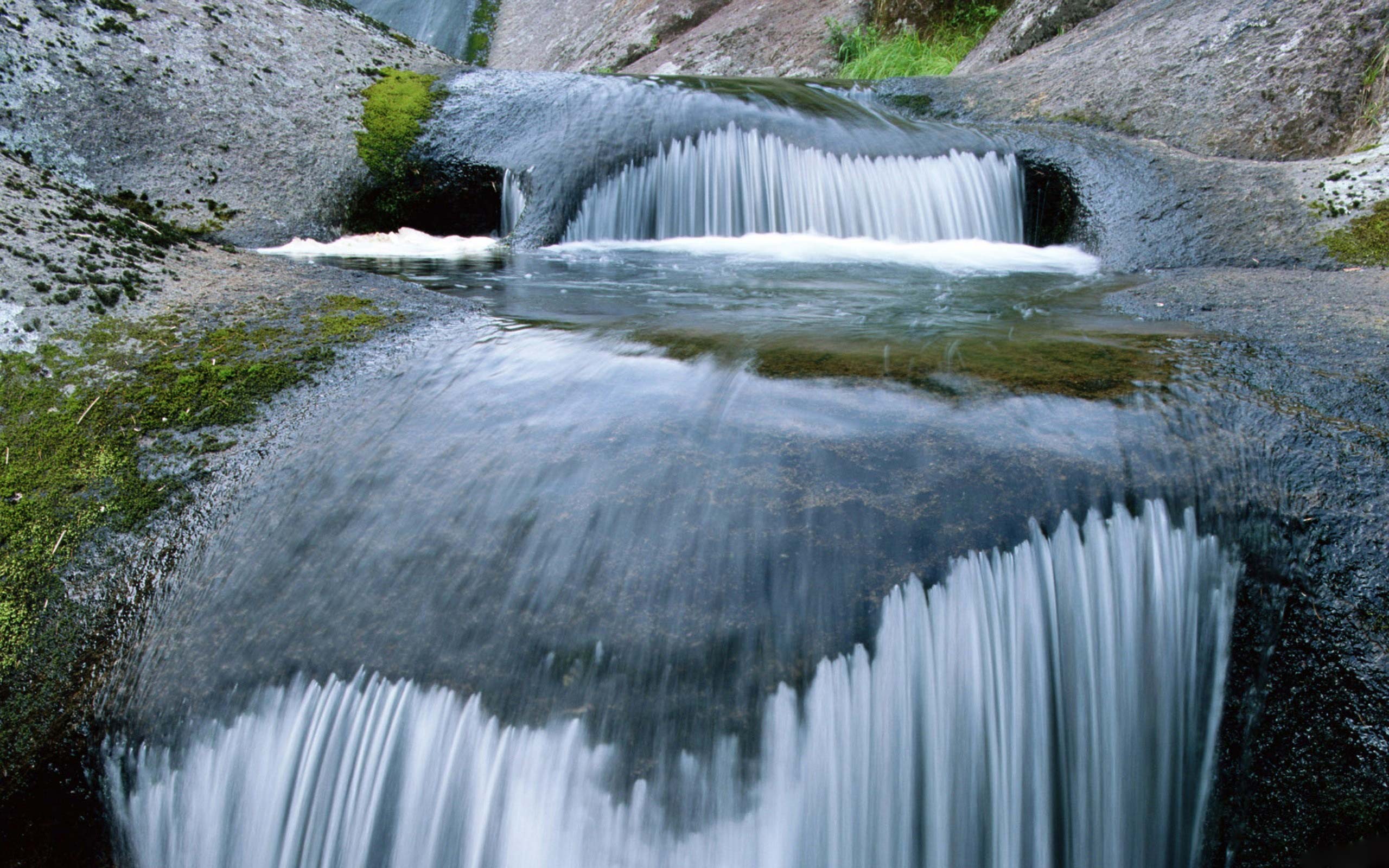 Desktop background // Animal Life // Nature // Spring runoff