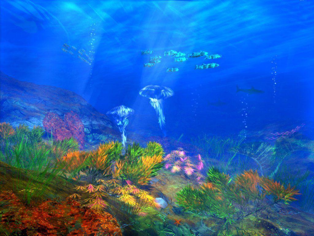 Under Ocean Wallpaper