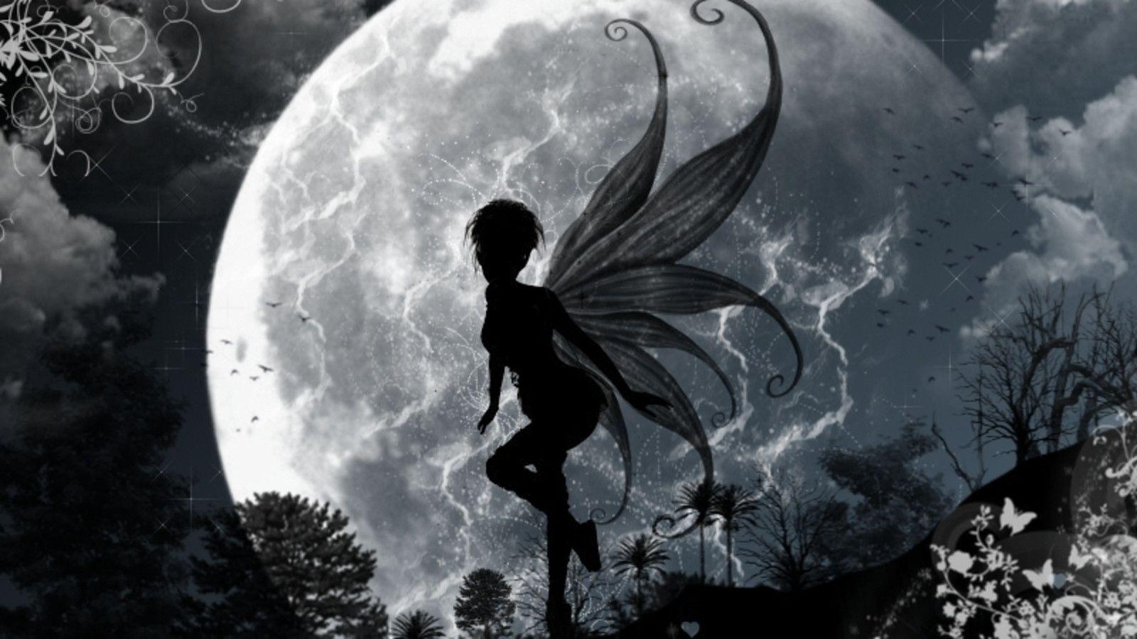 Download Moon Fairies Wallpaper 1600x900