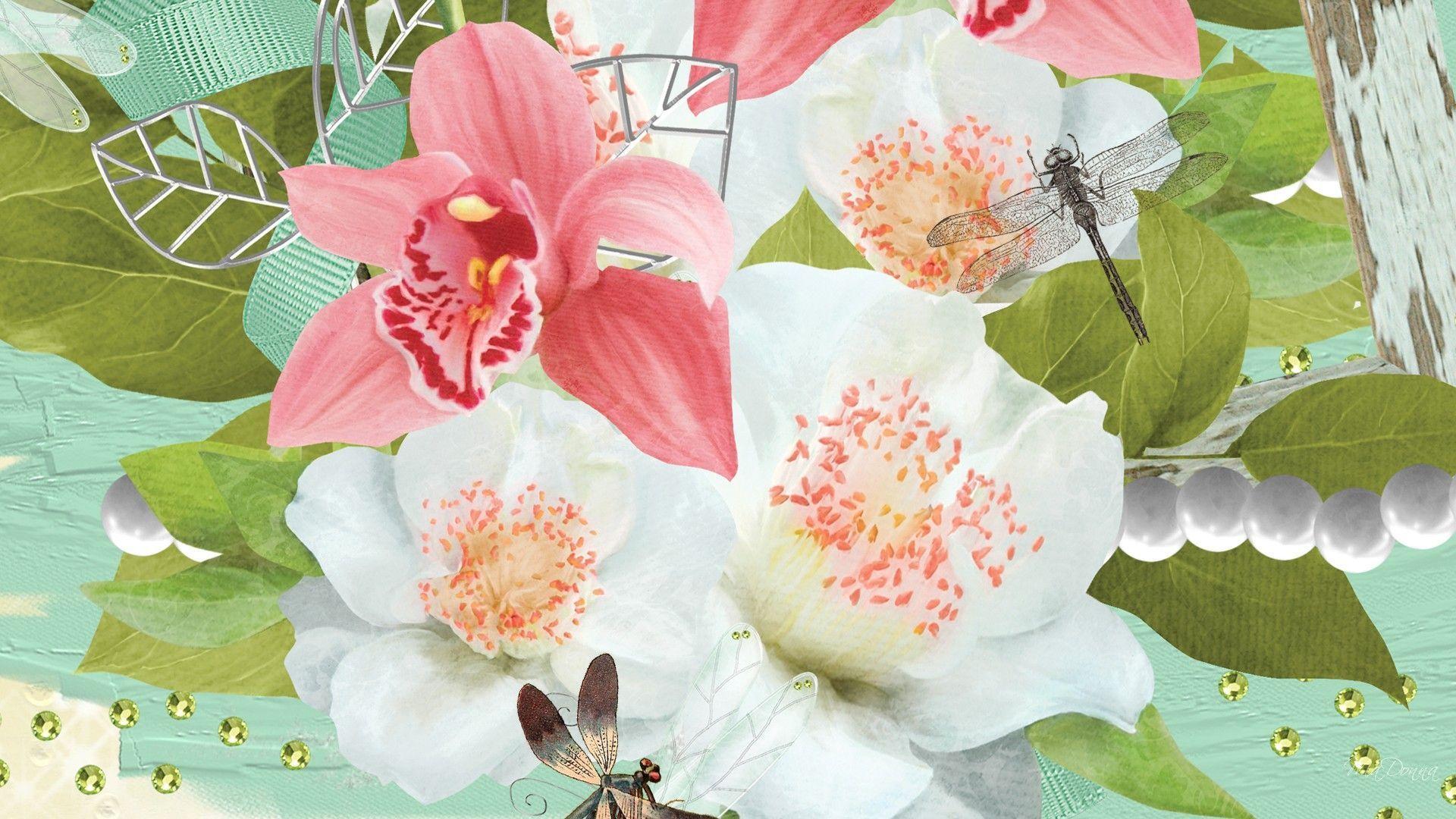 Floral, Dragonflies, Wallpaper, Nature, Wallpaper