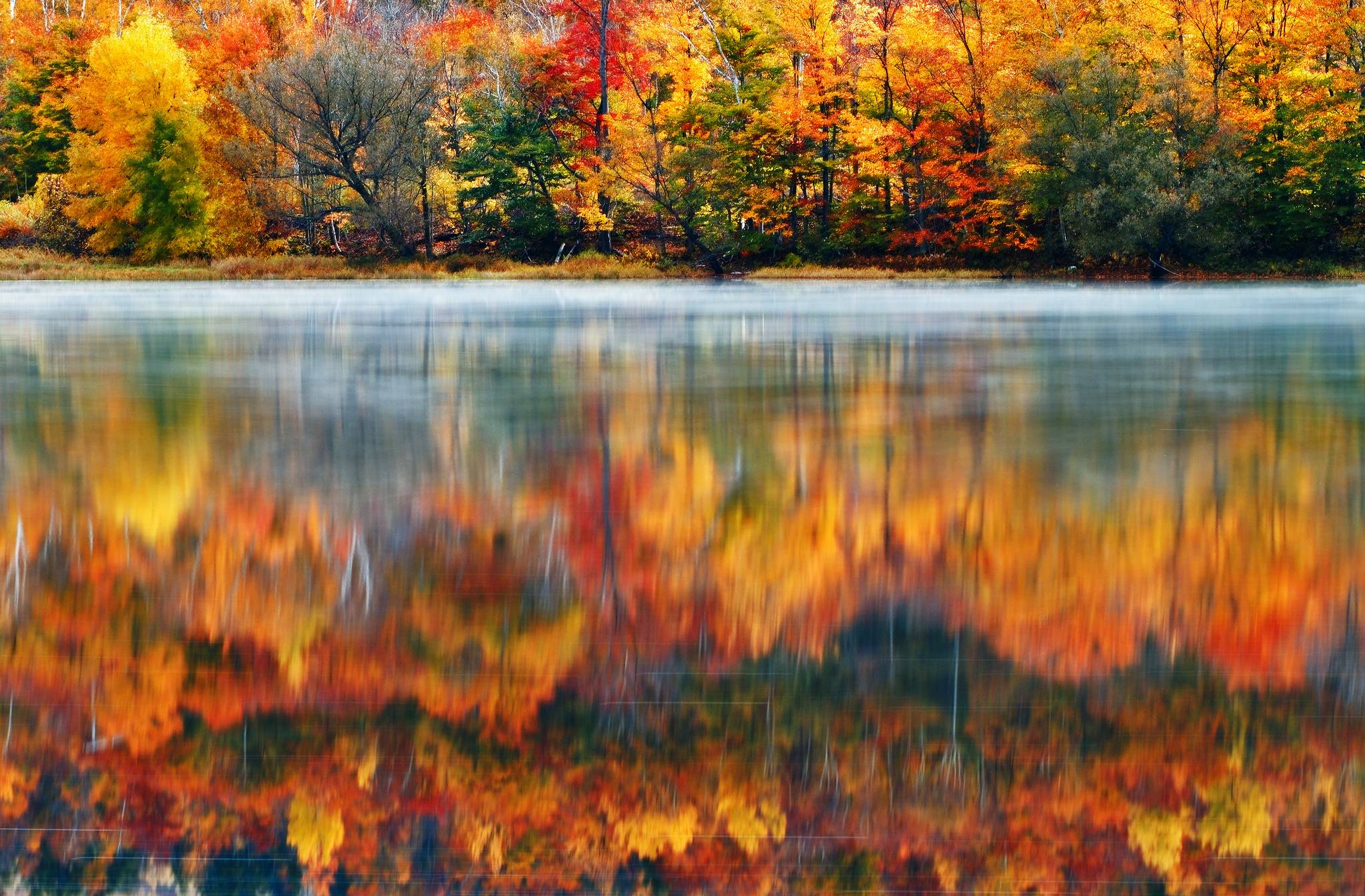 Autumn Trees Lake Wallpaper