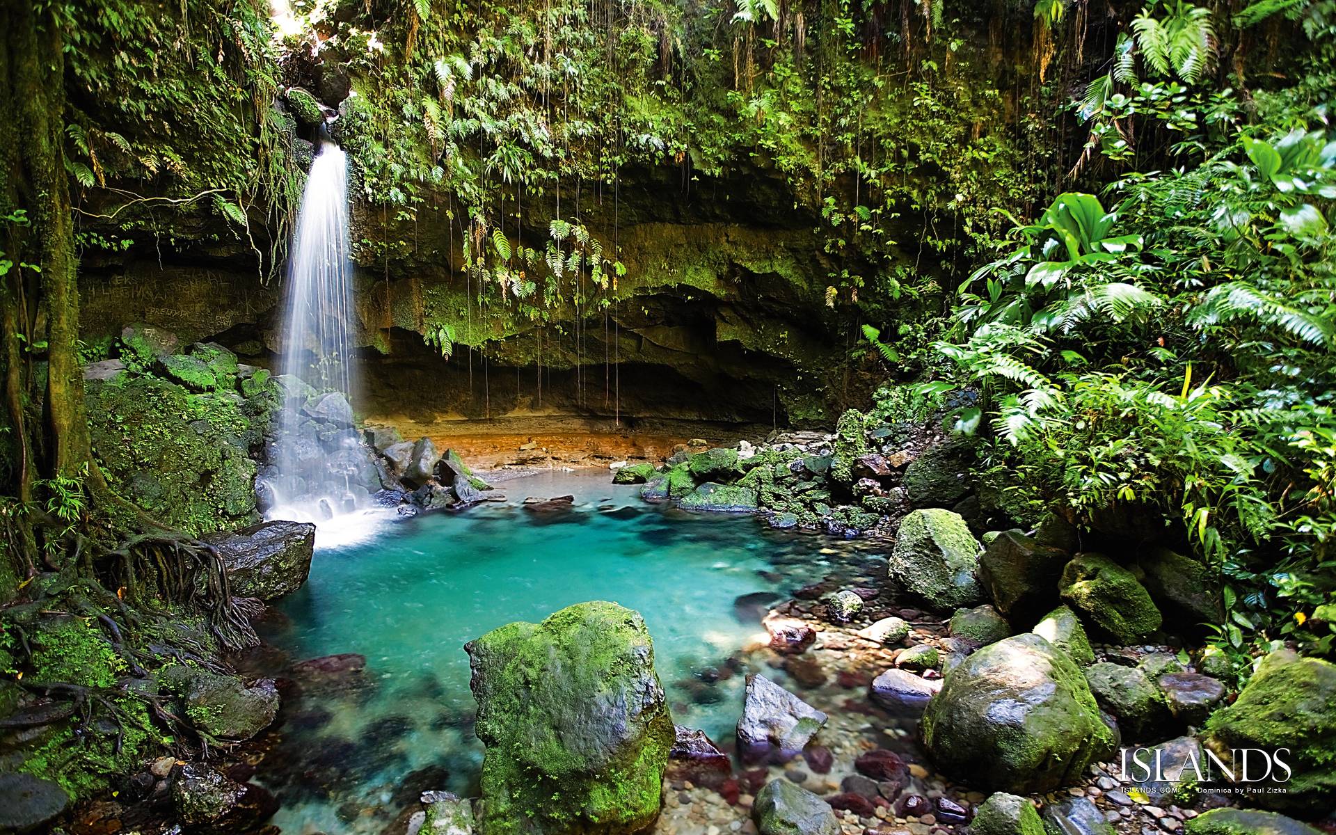 Rainforest Waterfalls Wallpapers
