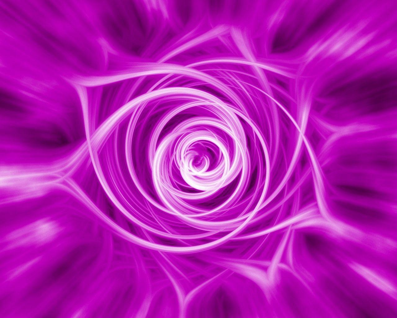 Violet Rose Wallpapers - Wallpaper Cave