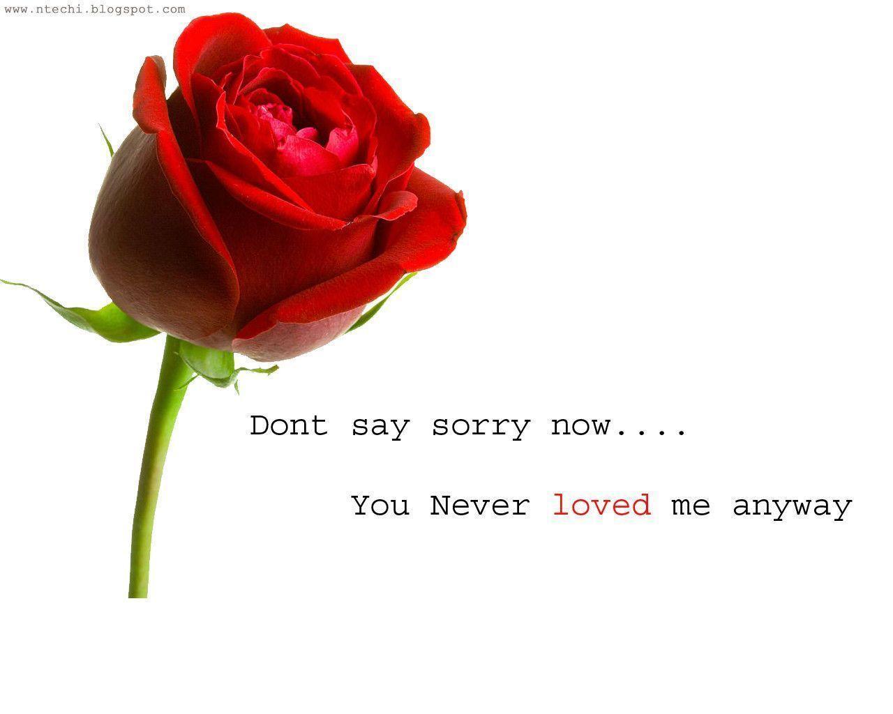 Newmagazine: Dont say sorry now, you never loved me anyway