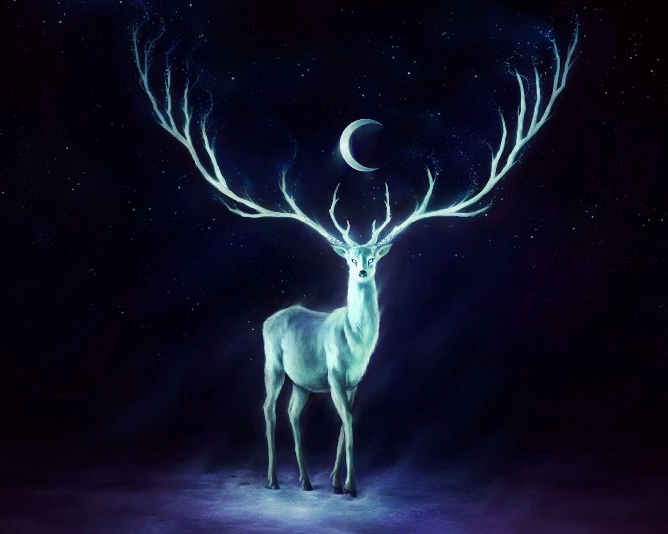 Deer Luminous Moon Abstract And HD Wallpaper 1920× HQ