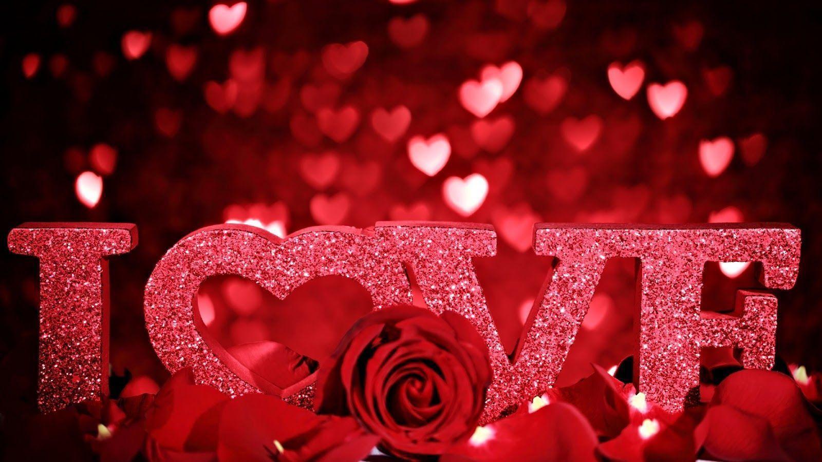 Wallpapers For > Hd Wallpapers Of Love