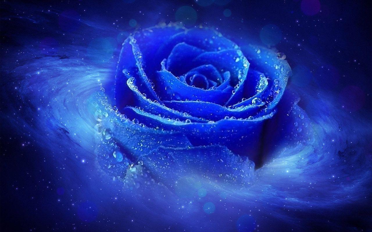 3D Blue Rose Desktop Cool Wallpaper Backgroun Wallpaper