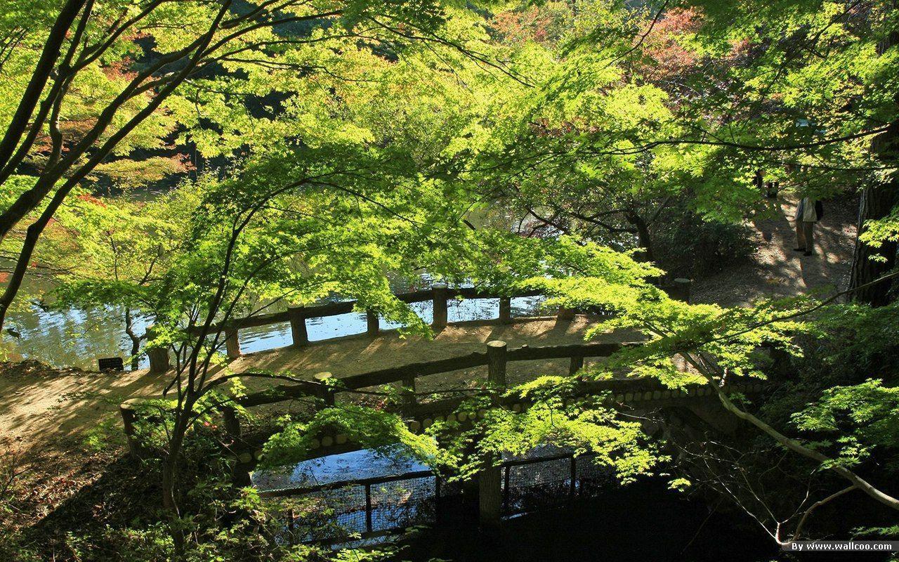 Japanese Garden Wallpaper. Daily inspiration art photo
