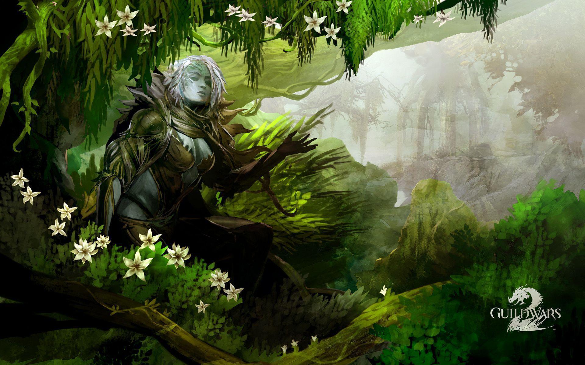 HD Guild Wars 2 Wallpapers Wallpaper Cave