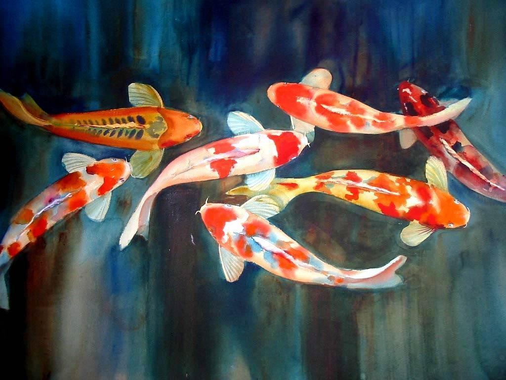 Free Koi Fish Wallpaper